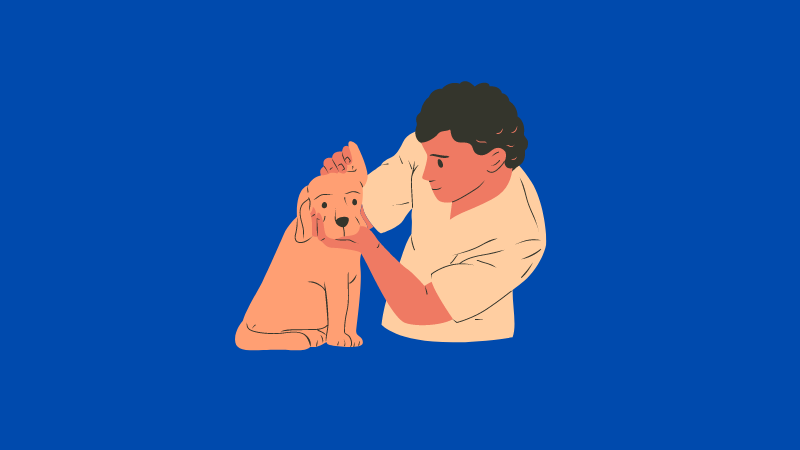 Illustration of veterinary with a dog